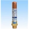 WP-1-DN15,WP-1-DN20,WP-1-DN25,yoshitake水锤消除器