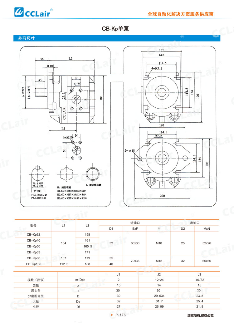 CB-Kp系列齿轮泵-2